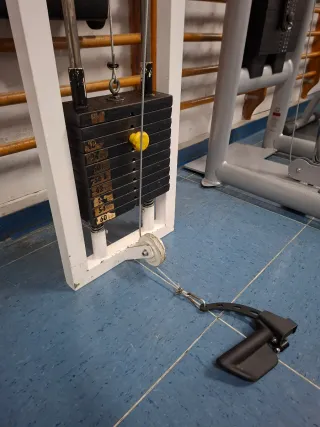 Polea Gimnasio Profesional