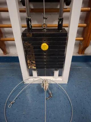 Polea Gimnasio Profesional