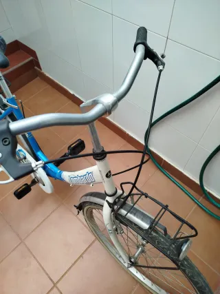 Bicicleta Lombardo Charbonnel 26