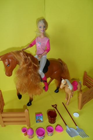 barbie cavallerizza con cavallo pony ed accessori