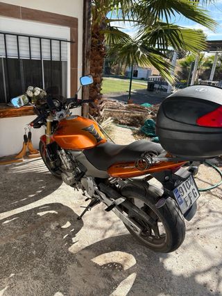 Honda CBF 600 hornet