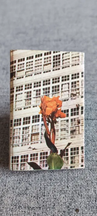 6 Cajas Cerillas La Coruña Años 60.