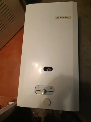 Calentador de gas natural Neckar