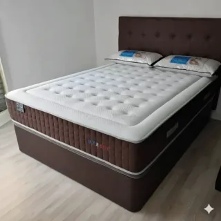 Canapé canapé canapé canapé canapé canapé canapé c