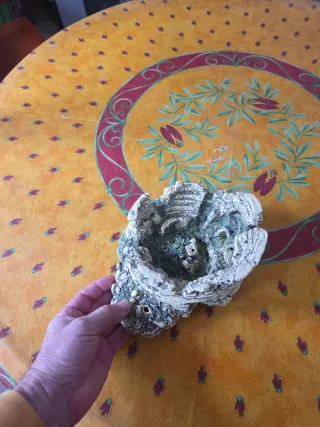 Decoración Acuario Coliseo Romano