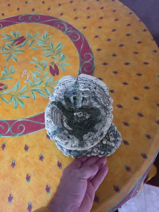 Decoración Acuario Coliseo Romano