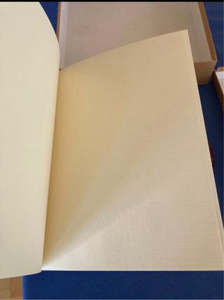 Álbum de fotos piel cocodrilo