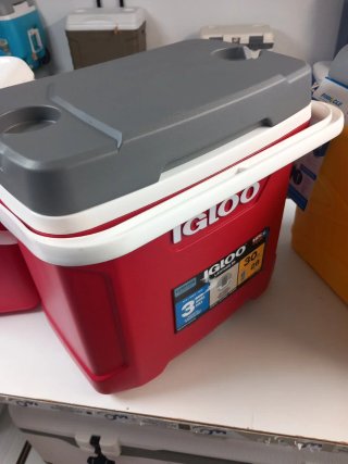 Nevera Igloo Roja 28L con Asa