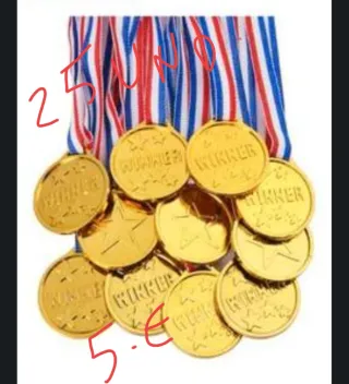 Set 2 Coches Bumper RC con Control Remoto