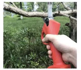 Forbici Cesoia Elettriche Potatura 48V 2 Batterie