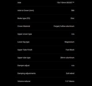 Rockshox Domain Gold R Horquilla Suspensión