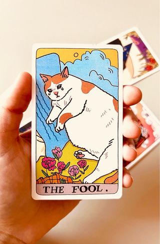 Carta Tarot Gato Meme Lol Destiny Oracle Christmas