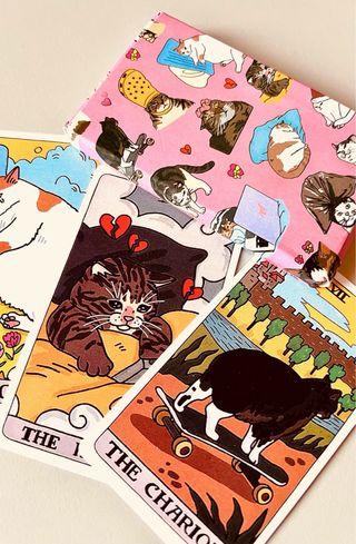 Carta Tarot Gato Meme Lol Destiny Oracle Christmas