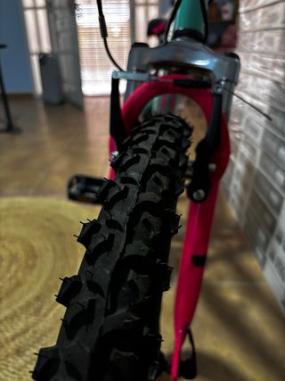 Bicicleta niña Talla 17