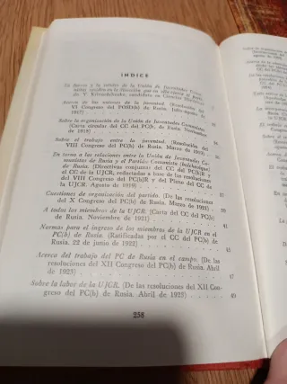 La juventud y el partido.