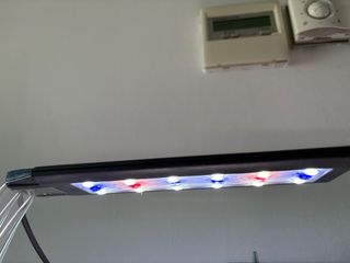 Acuario Nano 30L Amtra Completo