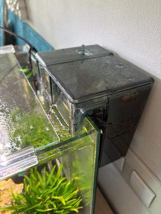 Acuario Nano 30L Amtra Completo