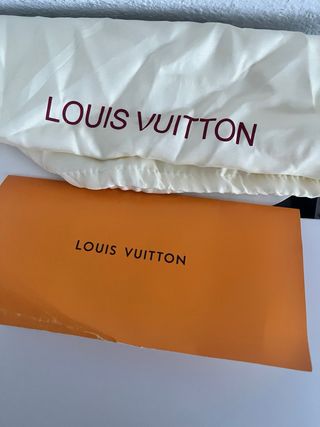 Zapatillas Louis Vuitton Skate con factura