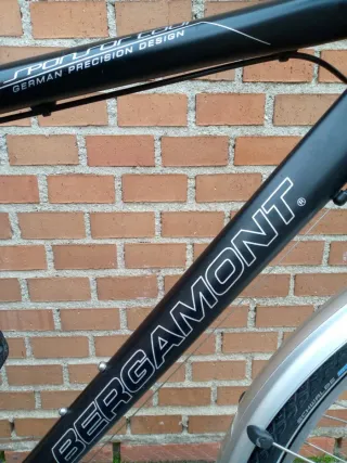 Bicicleta trekking Bergamont