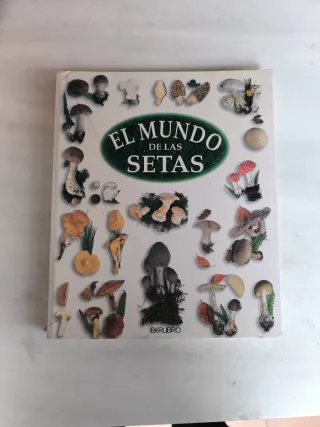 El Mundo De Las Setas