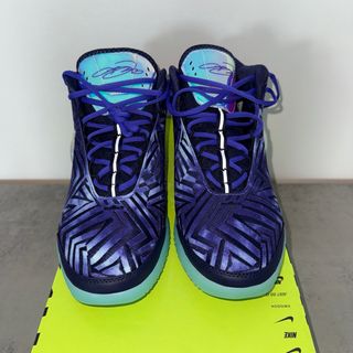 Nike LeBron NXN Genisus OS Monopoly