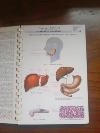 Atlas de anatomía cuerpo humano