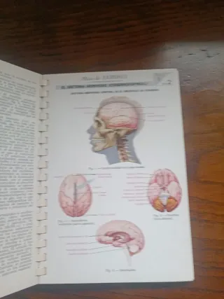 Atlas de anatomía cuerpo humano