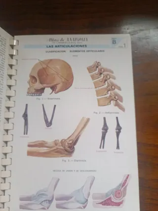 Atlas de anatomía cuerpo humano