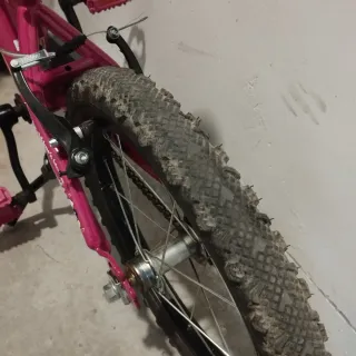 Bicicleta infantil 16" Wolfbike