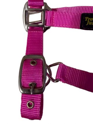 Cabezada de cuadra nylon doble con borrego