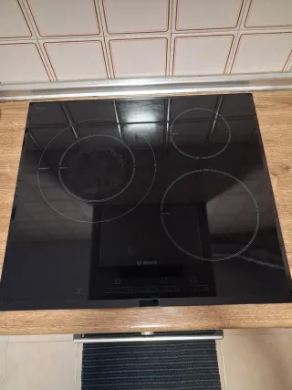 Horno eléctrico ,placa inducción y lavavajillas