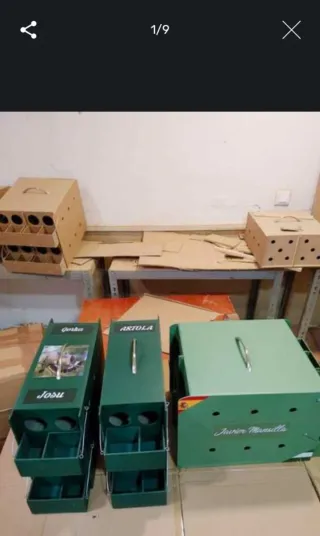 Cajas de transporte para animales