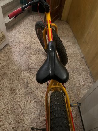 Bici Fat Bike Montaña/Nieve