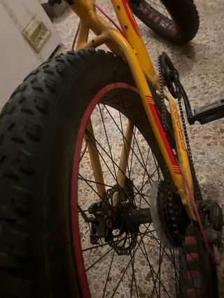Bici Fat Bike Montaña/Nieve