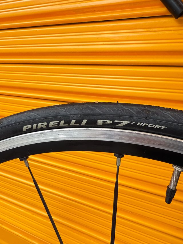 Bicicleta Bianchi Carbono Talla 48