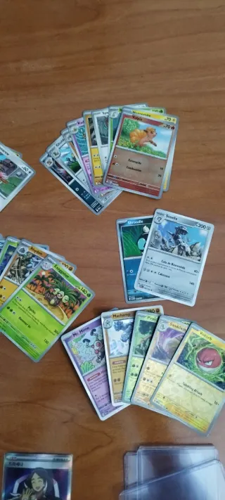Lote Cartas Pokémon: Cmerupt, Aggron, Wailord