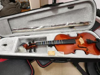 Violino classico con custodia e archetto