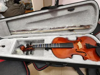 Violino classico con custodia e archetto