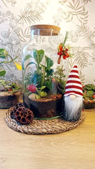 Terrario Navidad