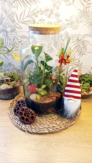 Terrario Navidad