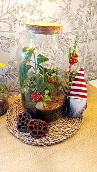 Terrario Navidad