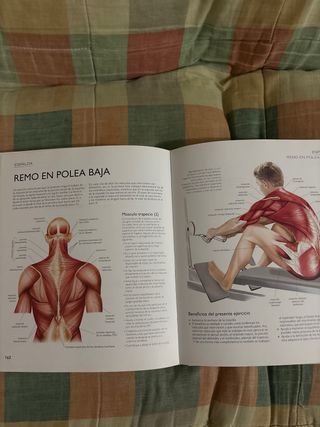 Fitness: Anatomia Ejercicios (Atlas Ilustrado) ...