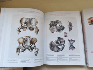 Atlas de anatomia humana e de cirurgia