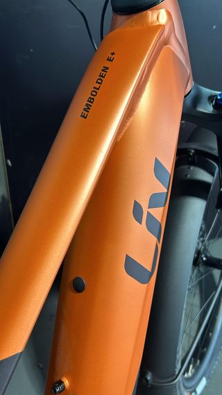 E-Bike Liv Embolden (Giant)