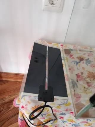 Terrario de cristal con lámpara