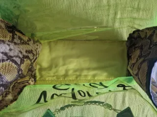 Bolso Victoria's Secret Transparente