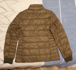 Plumífero Dolomite Marrón