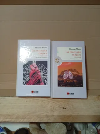 La montaña mágica