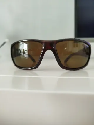 Gafas de sol Arnette marrones