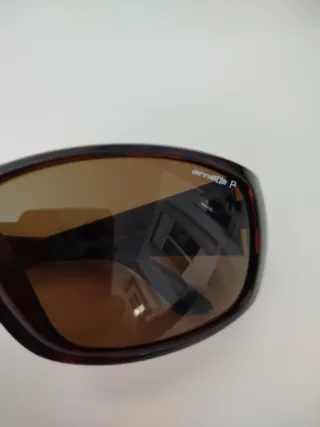 Gafas de sol Arnette marrones